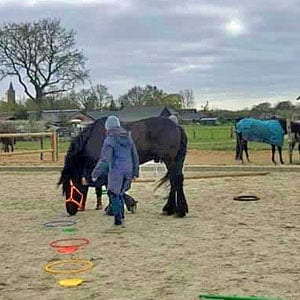 teamcoaching met paarden en een paardencoach